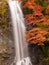 Minoh waterfall in autumn