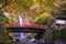 Minoo Waterfall in Colorful Autumn Season with Red Maple Leaf Fall Foliage and Beautiful Red Bridge.