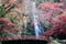 Minoo Waterfall and Minoo Park in autumn