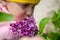 A minor child sniffs a bouquet of lilacs.