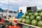 Minsk. Belarus. 09.01.2022 A man sells watermelons, melons, grapes and other fruits and vegetables at the fair. Sale of ripe and