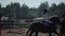 Minsk, Belarus - 19 July 2019: Horse with a young girl jockey in the saddle jumps over the barriers in the competition