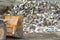 Minsk, Belarus -June 6, 2019 Pile of plastic bottles, paper and polyethylene at a waste recycling plant before sorting