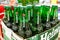 MINSK, BELARUS - MAY 22, 2019: The Heineken Lager Beer is a Dutch blonde beer. Glass beer bottles Heineken in a box for sale in a