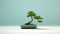 Mint Bonsai Tree In Blue Bowl - Remarkable Hd Desktop Wallpaper