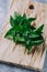 Mint closeup. Green fresh garden herbs for culinary closeup on wooden table, top view. Arugula, parsley, dill, spinach, lettuce