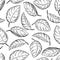 Mint drawing seamless pattern. mint plant and le