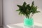 Mint filler with green branches in glass vase on white table, space for text. Water beads