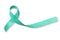 Mint green ribbon awareness for Genetic Disorder, Ivemark Syndrome, Congenital hepatic Fibrosis