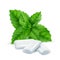 Mint gum. Fresh menthol leaves with white gum sweets for breathing fresh smell vector realistic pictures