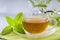 Mint Herbal Tea