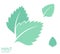 Mint. Icon set. leaves on white background