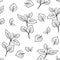 Mint leaf black and white seamless pattern. Herb outline vector illustration. Simple Botanical background.