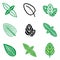 Mint leaf icons