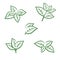 Mint leaves collection set. Collection mint leaves icon. Vector