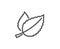 Mint leaves line icon. Herbal leaf.