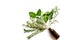 Mint, sage, rosemary, thyme - aromatherapy white background