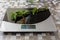 Mint sprig on digital kitchen scale on table with oilcloth