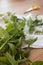 Mint sprigs on a wooden table. Aromatic mint on a wooden background