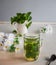 Mint tea in a glass mug and fresh mint sprigs in a white ceramic mug