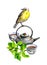 Mint tea, teapot, cups and bird. Watercolor