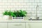 Mint, thyme, basil, parsley - aromatic organic herbs on white kitchen table, brick tile background. Potted culinary