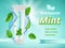 Mint toothpaste. Dent protection oral care advertizing placard vector realistic template