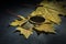 Minted gold bars and coin on a background of yellow maple leaves