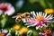 A minuscule world unfolds as a bee pollinates a vibrant, blooming flower in a garden