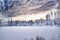 Miracle winter forest covered by snow.