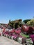 Miracles in Dubai Miracle Garden