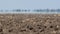 Mirage above plowed farmland in extreme heat