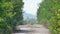 Mirage, heat haze over abandoned road surrounded by green trees on hot summer day