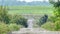 Mirage over abandoned asphalt road in countryside surrounded by green trees