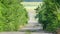 Mirage over abandoned road in countryside surrounded by green trees