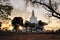 Mirisavatiya Dagoba Stupa, Anuradhapura, Sri Lanka