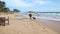 MIRISSA, SRI LANKA - MARCH 2014: View of an cow chased by dogs on beach in Mirissa. This small sandy tropical beach boasts some of