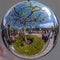 Mirror ball reflection of people, trees, park