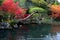 Mirror carp swimming in a Japanese garden pond surrounding by au