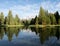 Mirror Image of Pine Trees and Teton Mountains in Beaver Pond at Schwabacher`s Landing in Grand Teton National Park, Wyoming