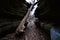 Mirror Lake state park fern dell gorge icicle formations a fallen tree in the gorge