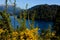Mirror Lake, Way of the Seven Lakes, Bariloche