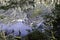 The Mirror Lakes in Fiordland National Park. Beautiful New Zealand.