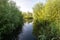 Mirror smooth creek in a nature reserve