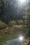 Mirrored sun in creek, Velky Sokol gorge, Slovak Paradise national park