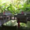 Mirroring efect of tropical garden plants on a table in Morere, Bahia State, Brazil