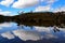 Mirrow-like reflections on Lake Dobson