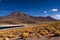 The Miscanti Lake Laguna Miscanti with the surrounding mountains and volcano in the Atacama Desert, Chile