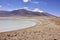 Miscanti Lake and Miniques Volcano Panorama