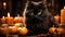 A mischievous black cat lounges among a variety of vibrant pumpkins illuminated by candle